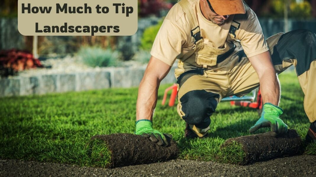 How Much to Tip Landscapers