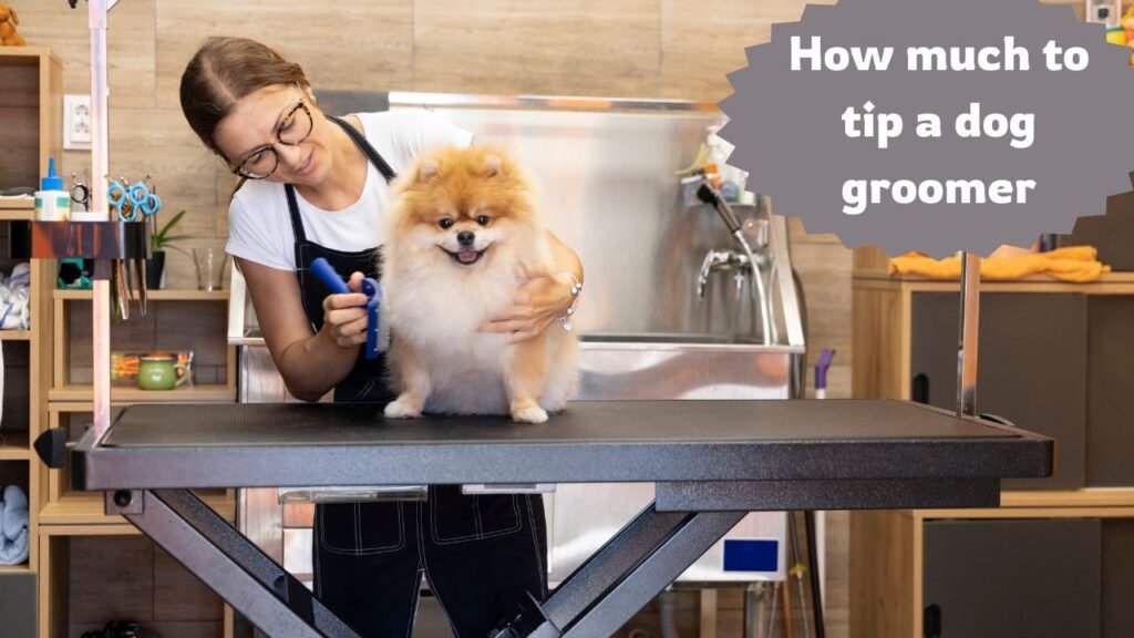 How much to tip a dog groomer