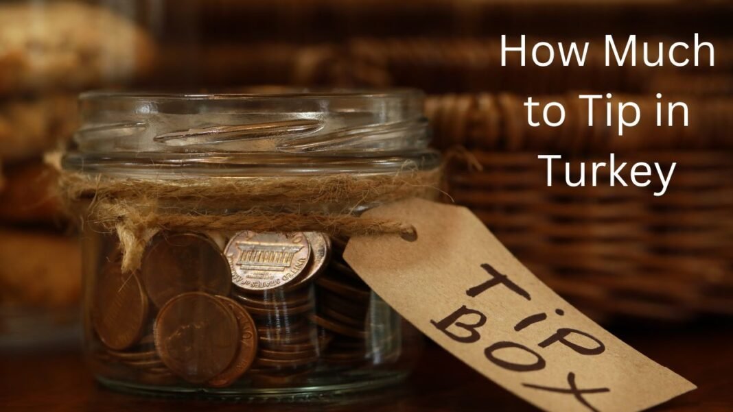 How Much to Tip in Turkey